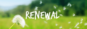 renewal